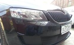 1 299 р. Сетка (для комплектации Active) на бампер Russtal (черная) Skoda Octavia A7 дорестайлинг лифтбэк (2012-2017)  с доставкой в г. Вологда. Увеличить фотографию 3