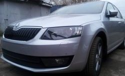 2 569 р. Сетка (для комплектации Ambition, Elegance) на бампер Russtal (черная) Skoda Octavia A7 дорестайлинг лифтбэк (2012-2017)  с доставкой в г. Вологда. Увеличить фотографию 2