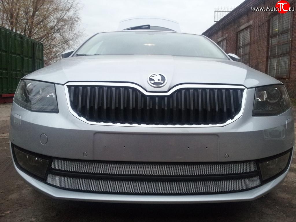 2 699 р. Сетка (для комплектации Ambition, Elegance) на бампер Russtal (хром) Skoda Octavia A7 дорестайлинг лифтбэк (2012-2017)  с доставкой в г. Вологда