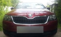 2 339 р. Сетка на бампер Russtal (черная) Skoda Rapid NH1 хэтчбэк дорестайлинг (2012-2017)  с доставкой в г. Вологда. Увеличить фотографию 2