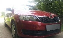 2 339 р. Сетка на бампер Russtal (черная) Skoda Rapid NH1 хэтчбэк дорестайлинг (2012-2017)  с доставкой в г. Вологда. Увеличить фотографию 3