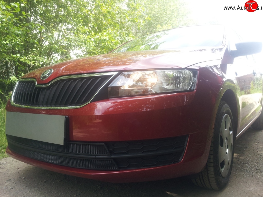2 339 р. Сетка на бампер Russtal (черная) Skoda Rapid NH1 хэтчбэк дорестайлинг (2012-2017)  с доставкой в г. Вологда