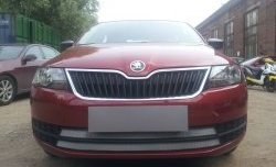 2 399 р. Сетка на бампер Russtal (хром) Skoda Rapid NH1 хэтчбэк дорестайлинг (2012-2017)  с доставкой в г. Вологда. Увеличить фотографию 2