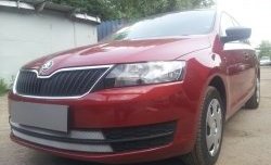 2 399 р. Сетка на бампер Russtal (хром) Skoda Rapid NH1 хэтчбэк дорестайлинг (2012-2017)  с доставкой в г. Вологда. Увеличить фотографию 4