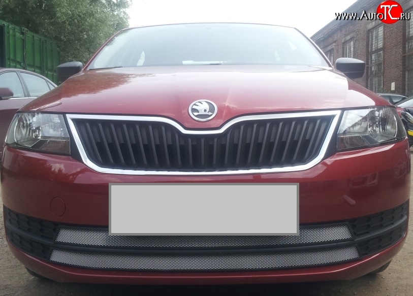 2 399 р. Сетка на бампер Russtal (хром) Skoda Rapid NH1 хэтчбэк дорестайлинг (2012-2017)  с доставкой в г. Вологда