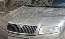 1 649 р. Реснички на фары CT Skoda Superb седан 3U дорестайлинг (2001-2006) (Неокрашенные)  с доставкой в г. Вологда. Увеличить фотографию 2