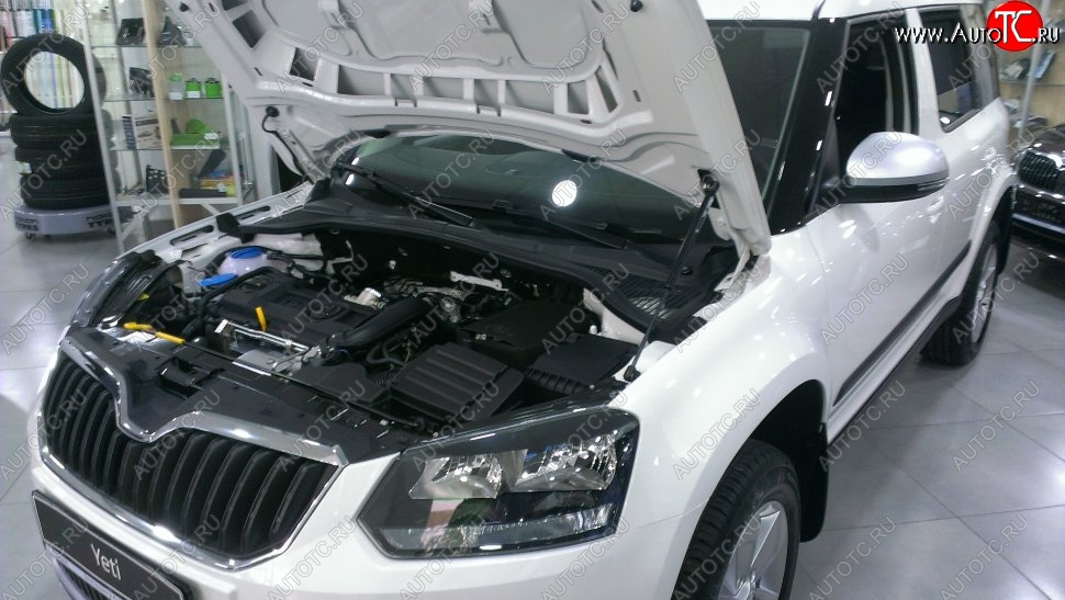 2 199 р. Газовый упор капота Berkut Skoda Yeti (2009-2013)  с доставкой в г. Вологда