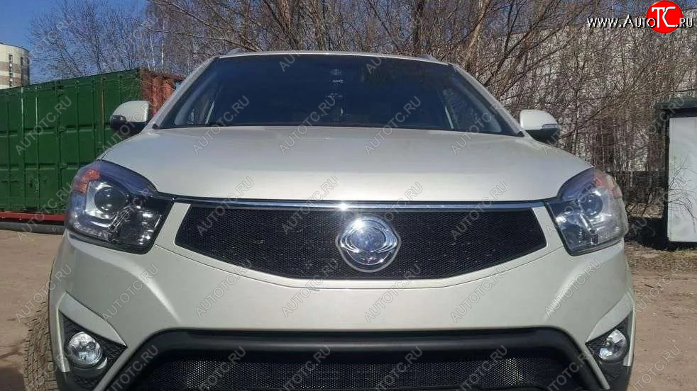 1 469 р. Защитная сетка в решетку радиатора Russtal SSANGYONG Actyon рестайлинг (2013-2021)  с доставкой в г. Вологда