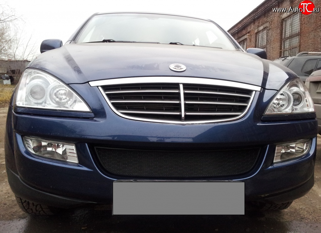 1 469 р. Сетка на бампер Russtal (черная) SSANGYONG Kyron дорестайлинг (2005-2007)  с доставкой в г. Вологда