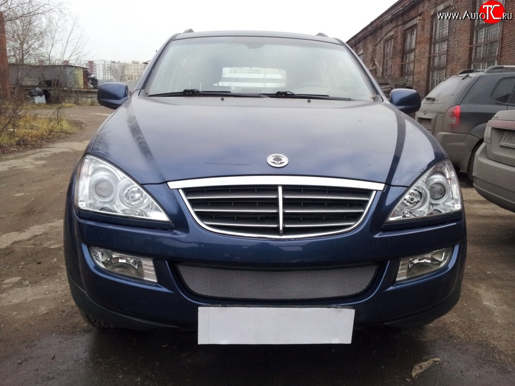 1 539 р. Сетка на бампер Russtal (хром) SSANGYONG Kyron дорестайлинг (2005-2007)  с доставкой в г. Вологда