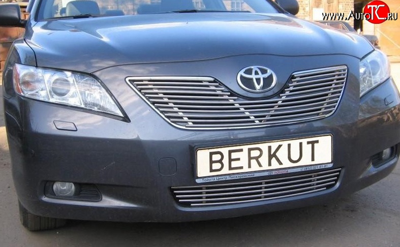 6 499 р. Декоративная вставка решетки радиатора Berkut Toyota Camry XV40 рестайлинг (2009-2011)  с доставкой в г. Вологда
