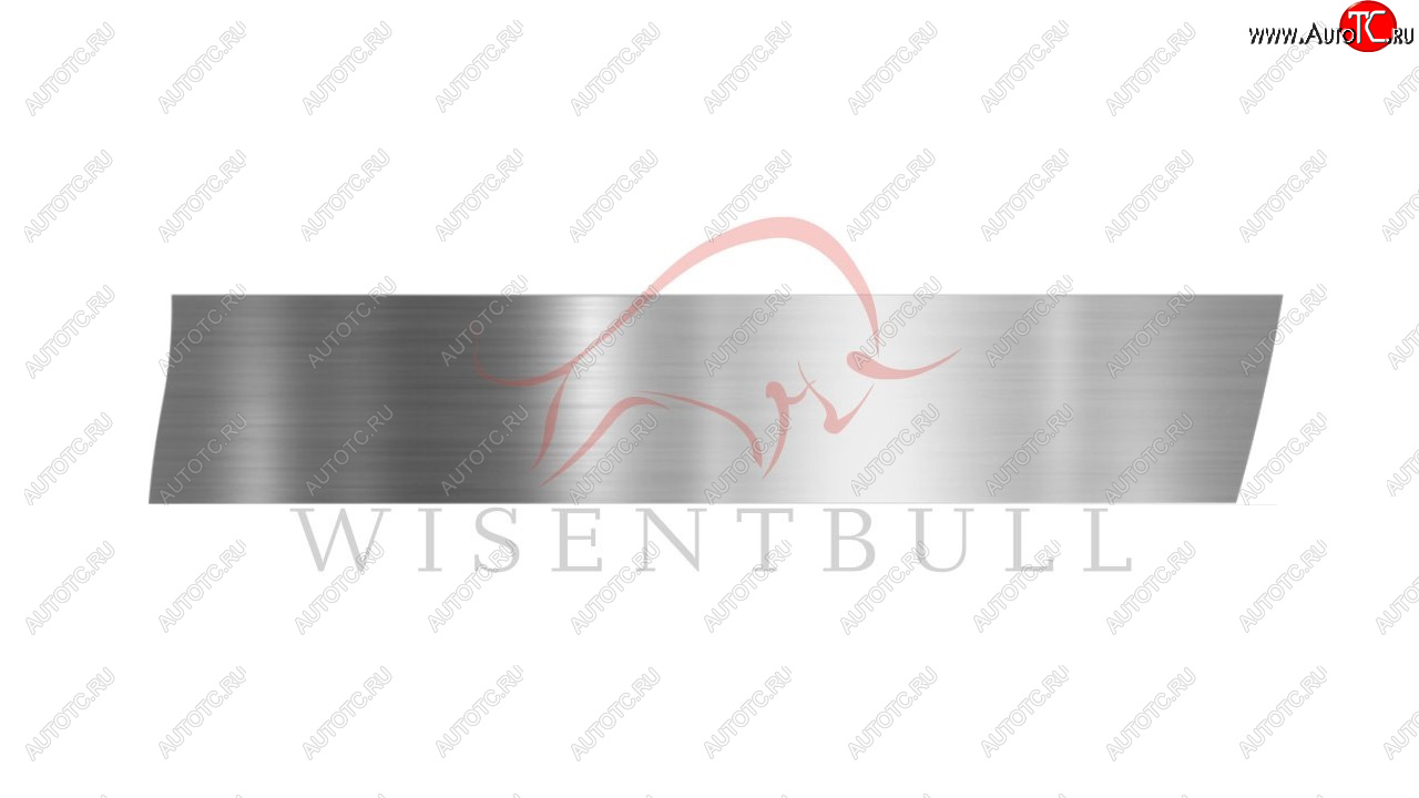 1 989 р. Ремкомплект правой двери Wisentbull Toyota Corolla E110 универсал дорестайлинг (1997-2000)  с доставкой в г. Вологда