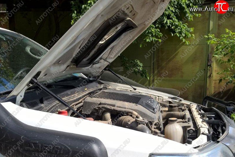 1 649 р. Газовые упоры капота (рестайлинг) Berkut Toyota Hilux AN20,AN30  2-ой рестайлинг (2011-2016)  с доставкой в г. Вологда
