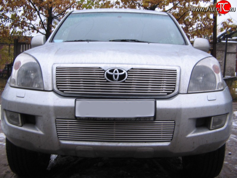 4 399 р. Декоративная вставка воздухозаборника Berkut Toyota Land Cruiser Prado J120 (2002-2009)  с доставкой в г. Вологда