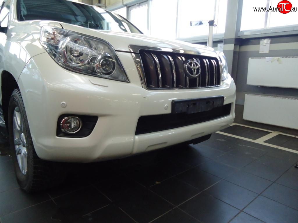 1 469 р. Сетка на бампер Russtal (черная) Toyota Land Cruiser Prado J150 дорестайлинг (2009-2013)  с доставкой в г. Вологда