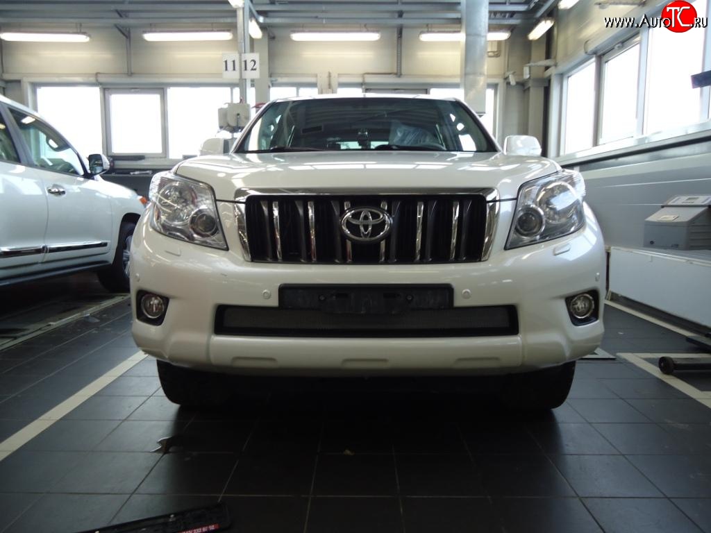 1 539 р. Сетка на бампер Russtal (хром) Toyota Land Cruiser Prado J150 дорестайлинг (2009-2013)  с доставкой в г. Вологда