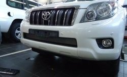 1 539 р. Сетка на бампер Russtal (хром) Toyota Land Cruiser Prado J150 дорестайлинг (2009-2013)  с доставкой в г. Вологда. Увеличить фотографию 2