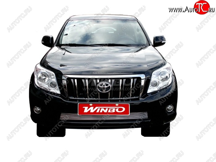 3 899 р. Решетка воздухозаборника переднего бампера WINBO Toyota Land Cruiser Prado J150 дорестайлинг (2009-2013)  с доставкой в г. Вологда