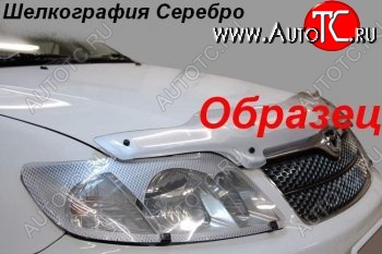 2 099 р. Защита фар (R40G, R50G) CA-Plastiс  Toyota LiteAce  Noah (1996-2001) (Шелкография серебро)  с доставкой в г. Вологда