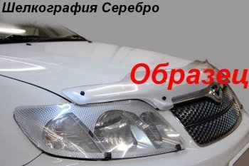 Защита фар CA-Plastic Toyota Nadia  XN10 (1998-2003) дорестайлинг, рестайлинг минивэн (Шелкография серебро)