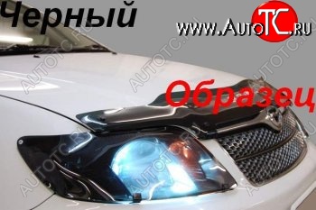 1 899 р. Защита фар (SXN10H) CA-Plastiс  Toyota Nadia  XN10 (1998-2002) (Classic черный)  с доставкой в г. Вологда