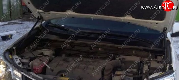 2 199 р. Газовые упоры капота Berkut Toyota RAV4 XA40 5 дв. рестайлинг (2015-2019)  с доставкой в г. Вологда