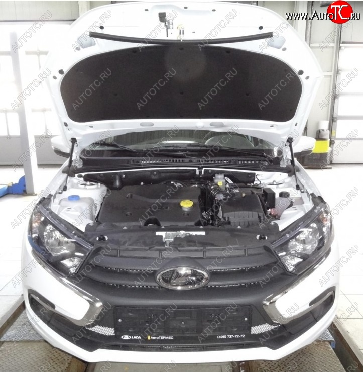 2 299 р. Упоры капота Russtal ВИС 2349 бортовой грузовик рестайлинг (2018-2025)  с доставкой в г. Вологда