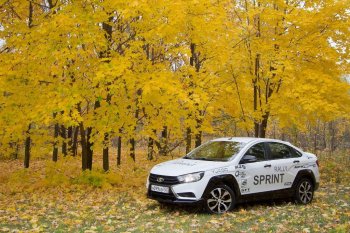 22 999 р. Комплект накладок на арки, порогм и молдингов Rally Sport Лада Веста SW 2181 универсал дорестайлинг (2017-2022)  с доставкой в г. Вологда. Увеличить фотографию 3
