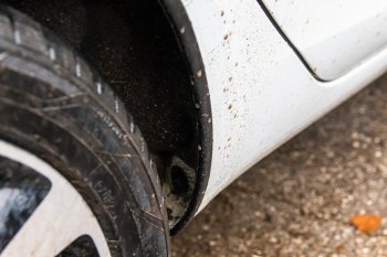3 999 р. Защитные накладки на арки ArtForm Лада Веста SW 2181 универсал дорестайлинг (2017-2022) (Поверхность: шагрень)  с доставкой в г. Вологда. Увеличить фотографию 3